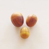 Medium- Wooden Egg Shaker