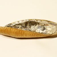 Botany In A Blackbean Pod