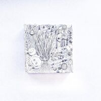 Lessons In Botany  - From Land to Water